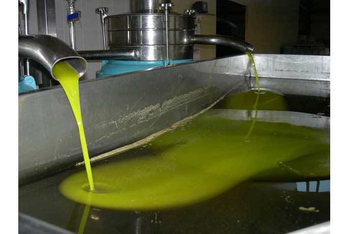 Bây giờ cũng có vài nhà sản xuất dầu olive theo kiểu truyền thống, nhưng chúng rất khó tìm và đắt. Đa số dầu olive bán ở thị trường là làm công nghiệp, vắt máy, ép máy như trong hình, trông… rất chán.